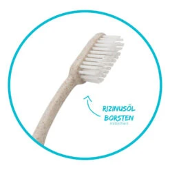 Chinchilla Zahnbürste 8 Chinchilla Zahnbürste -Crespo Verkäufe M 550850 3